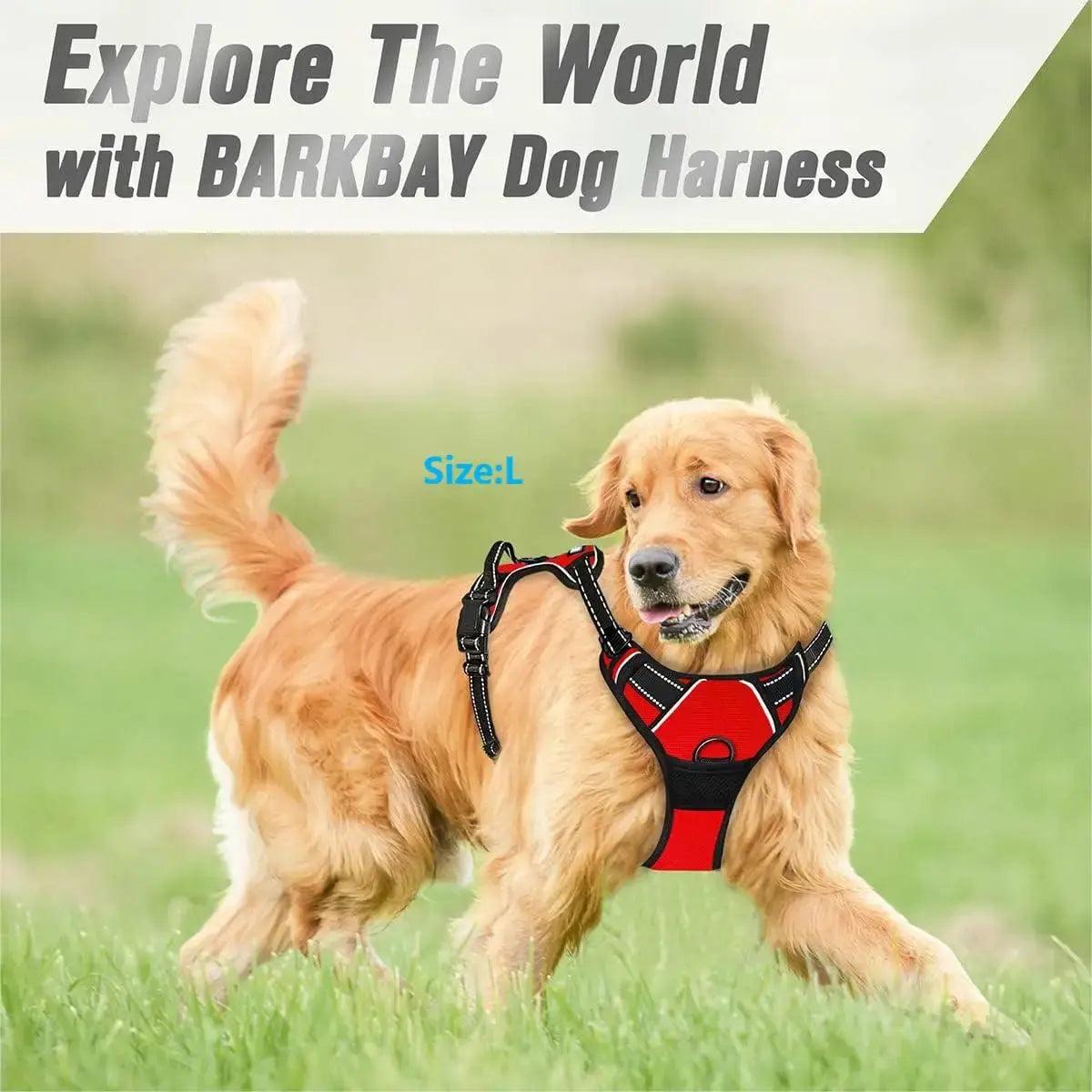 Harnais pour chien sans traction - Pattes et Moustaches