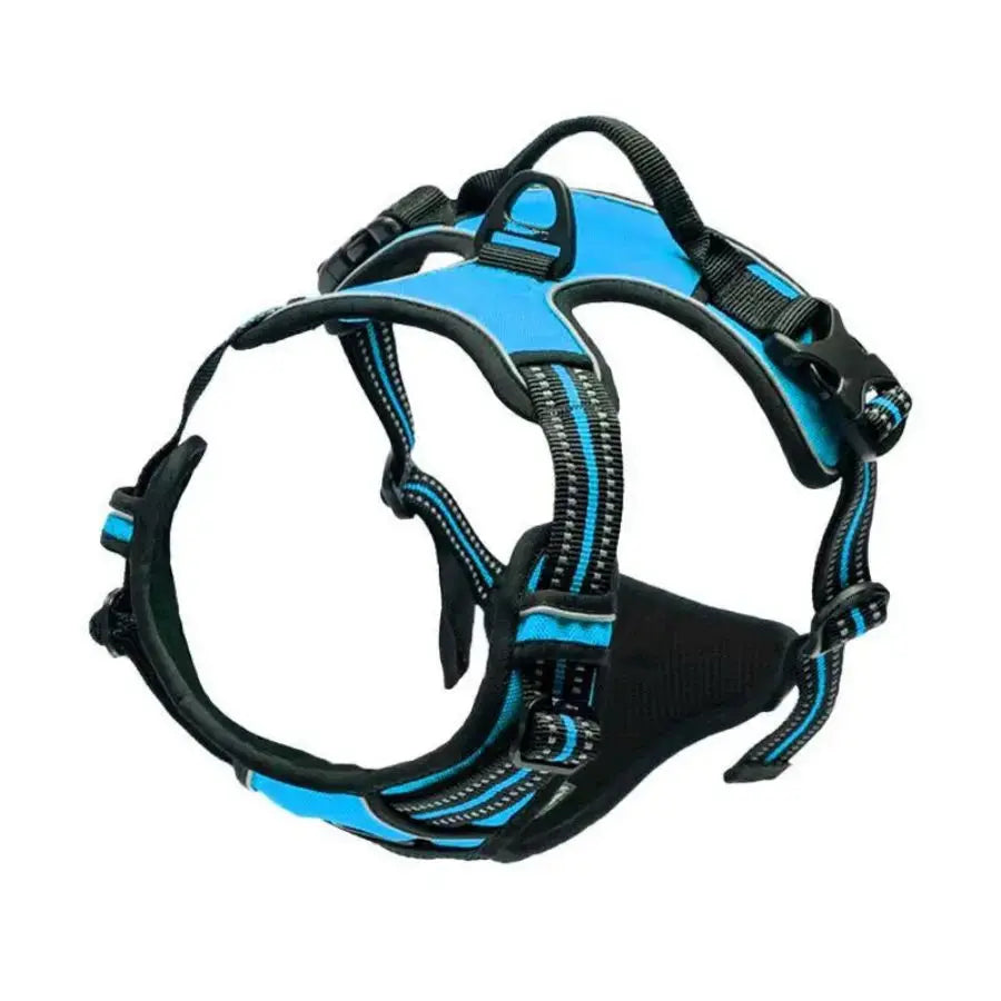 Harnais pour chien sans traction - Pattes et Moustaches