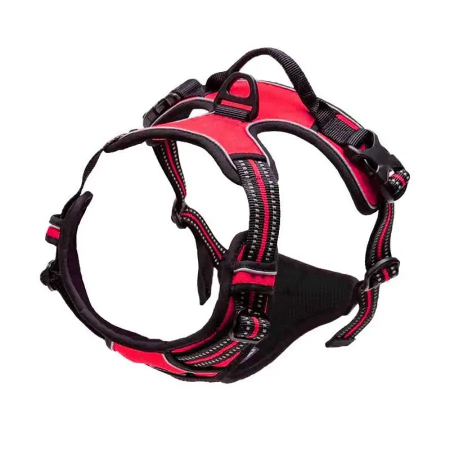 Harnais pour chien sans traction - Pattes et Moustaches