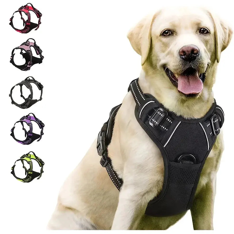Harnais pour chien sans traction - Pattes et Moustaches