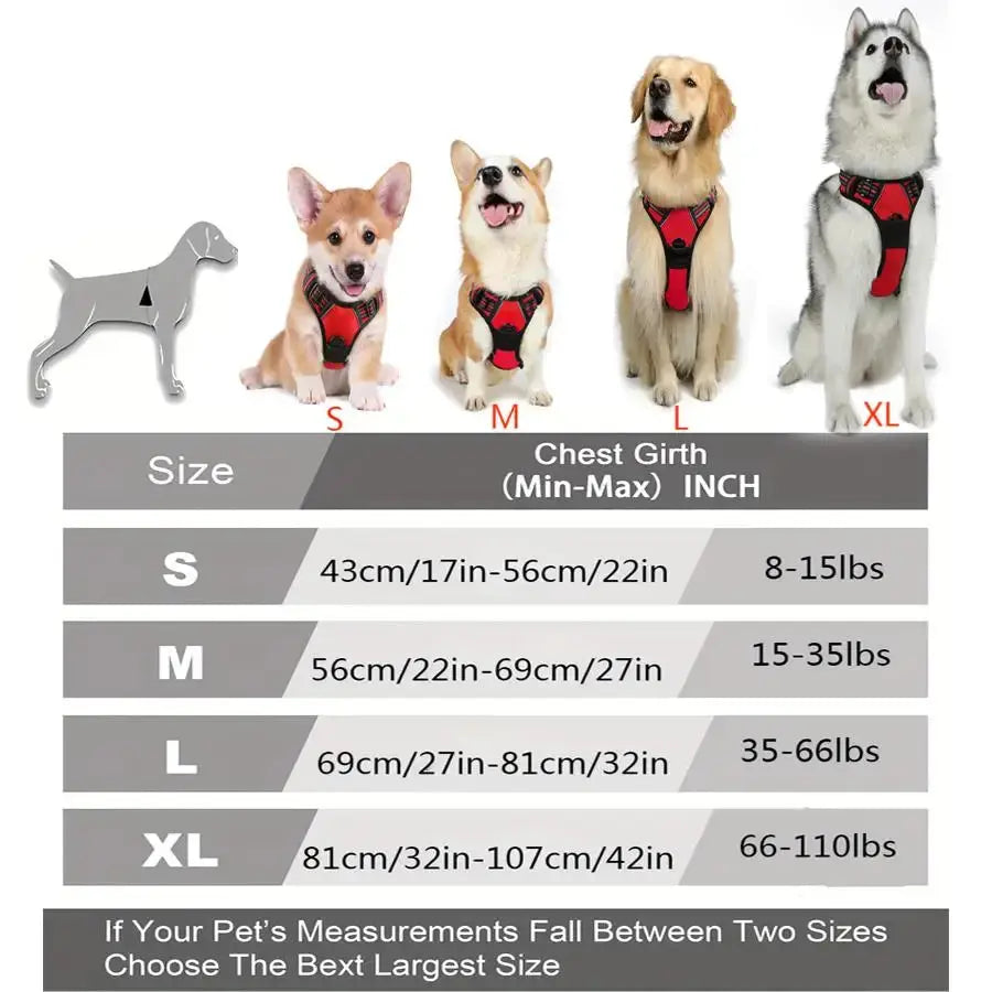 Harnais pour chien sans traction - Pattes et Moustaches