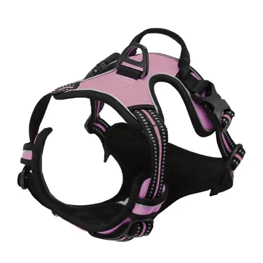 Harnais pour chien sans traction - Pattes et Moustaches