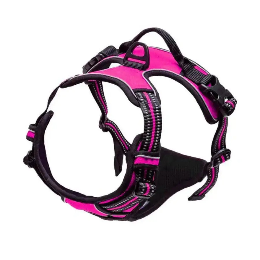 Harnais pour chien sans traction - Pattes et Moustaches