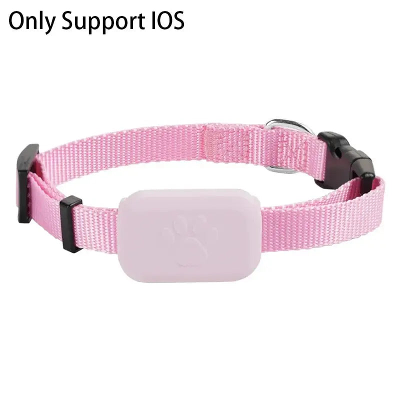 Collier traceur gps - Pattes et Moustaches