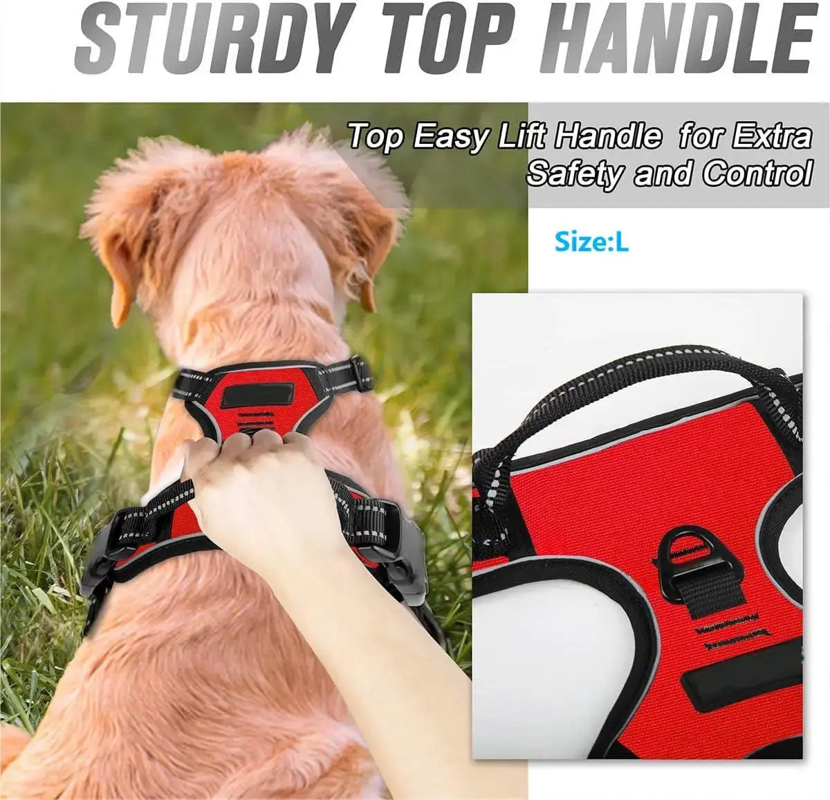 Harnais pour chien sans traction - Pattes et Moustaches