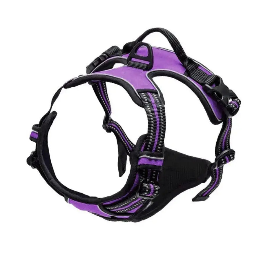 Harnais pour chien sans traction - Pattes et Moustaches