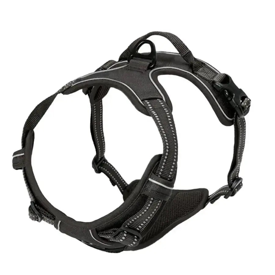 Harnais pour chien sans traction - Pattes et Moustaches