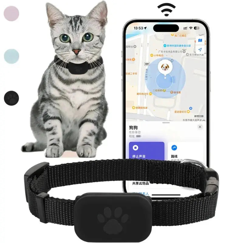 Collier traceur gps - Pattes et Moustaches