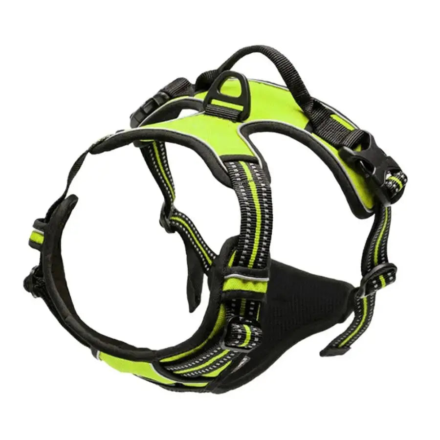 Harnais pour chien sans traction - Pattes et Moustaches