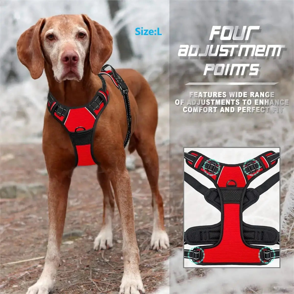 Harnais pour chien sans traction - Pattes et Moustaches